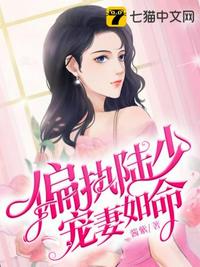 偏執陸少寵妻如命