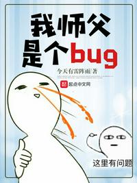 我?guī)煾甘莻€bug