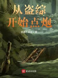 從盜綜開始點炮
