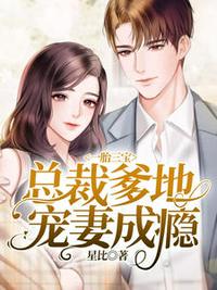 一胎三寶：總裁爹地寵妻成癮李安安褚逸辰