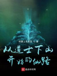 從道士下山開(kāi)始的仙路