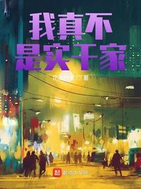 我真不是實干家