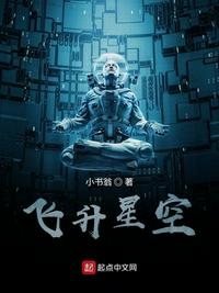 飛升星空