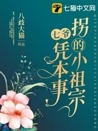 七爺憑本事拐的小祖宗