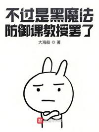 不過是黑魔法防御課教授罷了