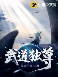武道獨(dú)尊