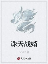 誅天戰婿