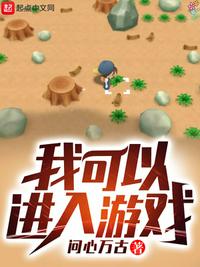 我可以進入游戲