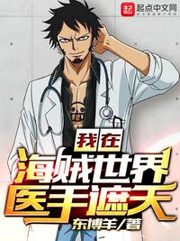 我在海賊世界醫手遮天