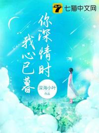 你深情時我心已暮