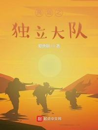 亮劍之獨立大隊