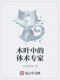木葉中的體術專家