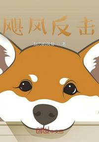 颶風反擊