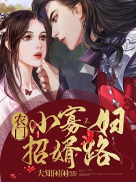 農門小寡婦招婿路