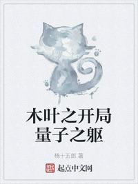 木葉之開局量子之軀