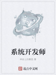 系統(tǒng)開發(fā)師