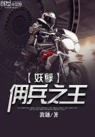 妖孽傭兵之王