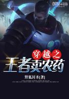 穿越之王者賣農藥