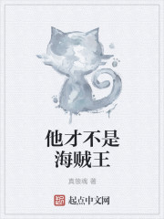 他才不是海賊王