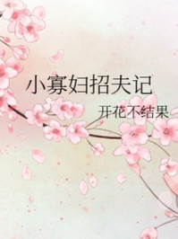 小寡婦招夫記