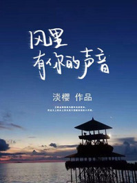 風里有你的聲音