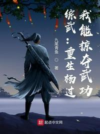 綜武：重生楊過，我能掠奪武功