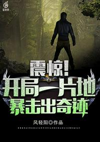 開局一片地暴擊出奇跡