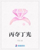 丙奪丁光