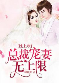 總裁寵妻無上限