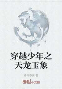 穿越少年之天龍玉象