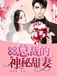 總裁的神秘甜妻