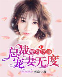 總裁寵妻無度