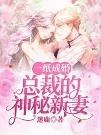 總裁的神秘新妻