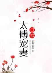 太傅寵妻日常