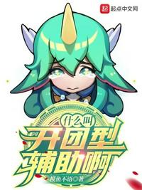 什么叫開團型輔助啊