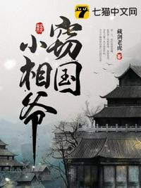竊國(guó)小相爺