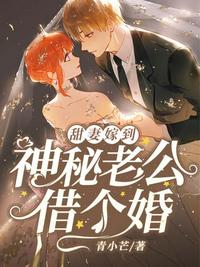 神秘老公借個婚