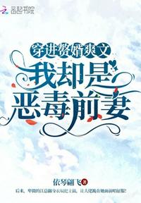 穿進贅婿爽文，我卻是惡毒前妻