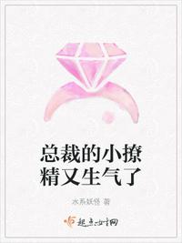 總裁的小撩精又生氣了