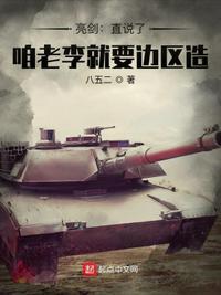 亮劍：直說了，咱老李就要邊區(qū)造