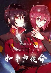 高達SEED之和平與使命