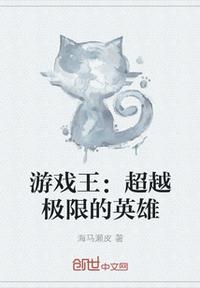 游戲王：超越極限的英雄
