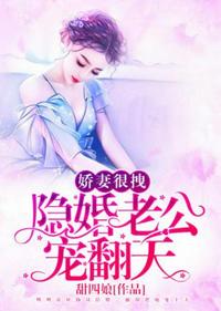 隱婚老公寵翻天