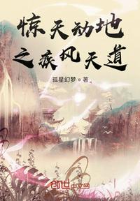 驚天動(dòng)地之疾風(fēng)天道