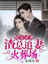渣總追妻火葬場