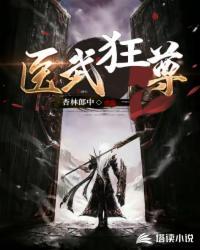 醫(yī)武狂尊