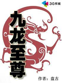 九龍至尊