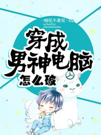 穿成男神電腦怎么破
