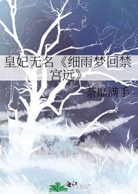 皇妃無名《細(xì)雨夢回禁宮遠(yuǎn)》