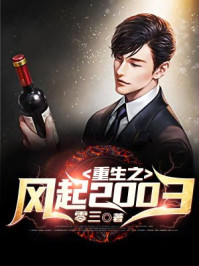 重生之風起2003